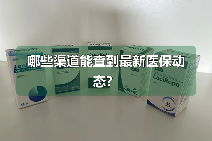 哪些渠道能查到最新医保动态？